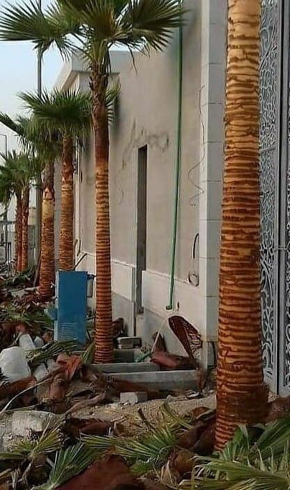 تكريب النخيل